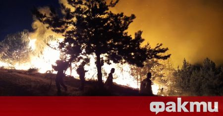 Пожарите в РС Македония не стихват, за тяхното локализиране и