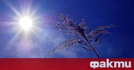 Преди обяд ще преобладава слънчево време предаде БНР След пладне