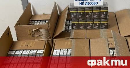 Голямо количество от 325 000 къса 16 250 кутии контрабандни