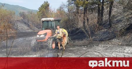 Трети ден борба с огъня в Старозагорско Пожарът между селата