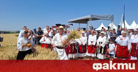 Министерството на земеделието и храните даде официален старт на Жътвена