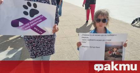Насилието над животните ще бъде обсъдено днес на конференция в