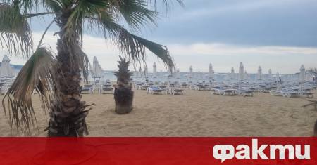 Централният плаж в Слънчев бряг е със Син флаг и