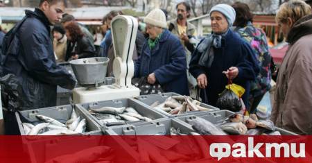 За вкуса и ползите от рибата може да се говори