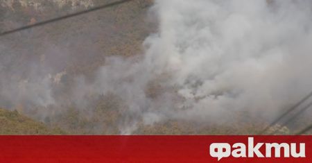 Пожар бушува в Стара планина над Карлово в близост до