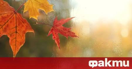 Сутринта на отделни места в низините и поречията ще има