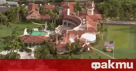 Elon Musk Lives in Trump’s Mar-a-Lago Mansion After Election