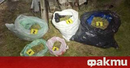 При специализирана полицейска операция в Бобов дол са иззети близо