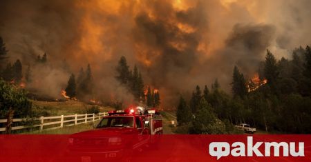 Втори пореден ден италиански пожарникари се бориха с горски пожари