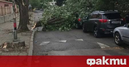 Мощна буря с ураганен вятър проливни дъждове и градушки нанесе