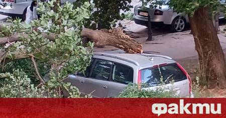 Кратка но мощна ветрова вълна премина през Добричка област и