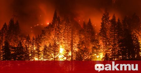 Пожарникарите, които се борят с два горски пожара в северната