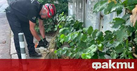 Оставаме на терен докато не разчистим всяка следа от бурята