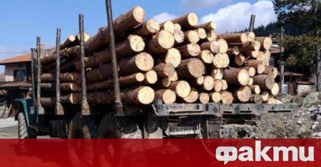 Мъж е починал при товарене на дърва в гора край