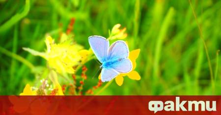 Времето в България ще претърпи временна промяна обусловена от преминаването