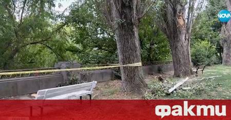 След трагичния инцидент в Пловдив при който мъж беше убит