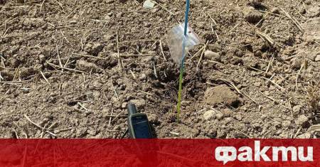 В западната част на Чехия археолози откриха голямо съкровище датиращо