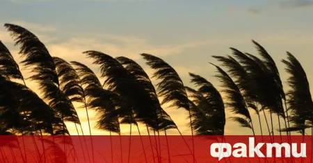 Преди обед над по голямата част от страната ще преобладава слънчево