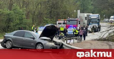 Водачът на товарния автомобил за който се предполага че е