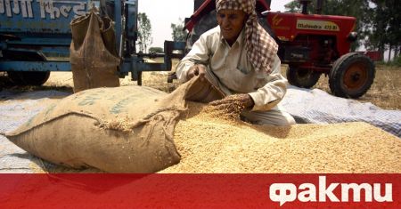 Индия, която е вторият световен производител на пшеница след Китай,