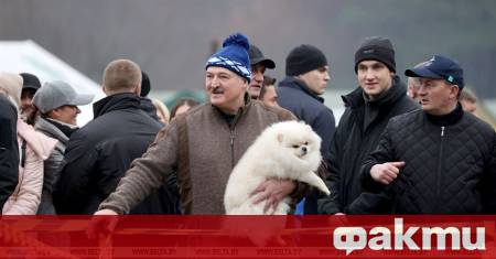 Кучето на беларуския президент Александър Лукашенко Умка има повече права