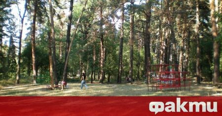 „Изчезва ли Парк „Княжевска борова гора“ и случва ли се
