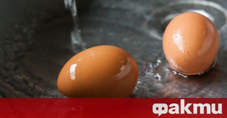 Диетологът Елена Соломатина посочва дали трябва да се мият яйцата