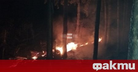 Пожар гори в парк Тюлбе в Казанлък предаде БНТ Запалила се