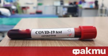 Петима от заразените с COVID-19 в област Велико Търново са