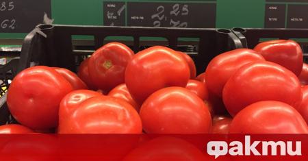 Цената на българските оранжерийни домати е с 58% по-висока от