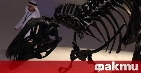 Скелетите на динозаври са популярни сред най богатите хора в