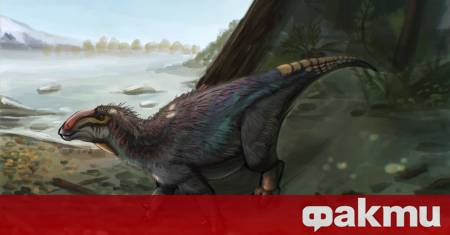 Нов вид динозавър с бодли е открит в Китай от