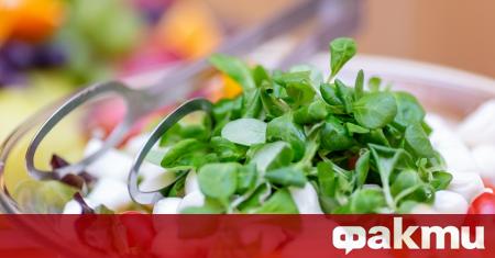 Зелените салати са добър източник на хлорофил и витамин К
