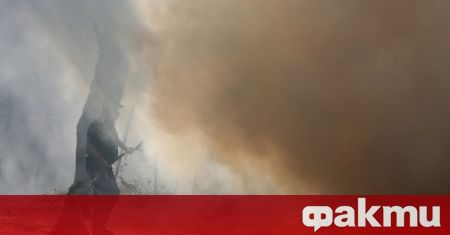 В Испания връхлетяна от необичайна за сезона гореща вълна пожарникари