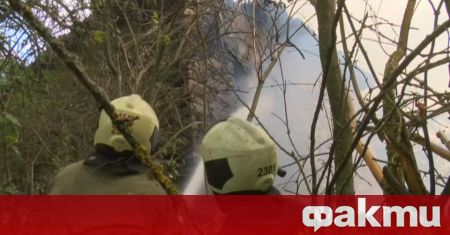 Пожари с фронт от близо 30 километра бушуват в Хасковска