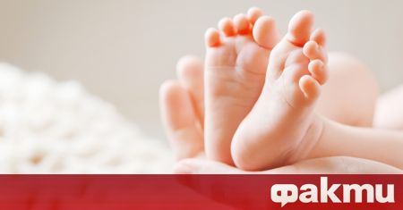 Повече от 65 000 бебета са родени в Германия през