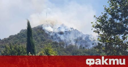 Голям пожар гори на Младежкия хълм в Пловдив. От пресцентъра