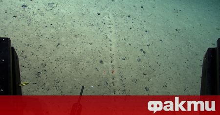 Учените откриха някои необясними мистериозни дупки в морското дъно на