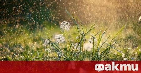 Сутринта ще има временно интензивни валежи и гръмотевични бури главно