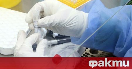726 са новите случаи на коронавирус в България сочат данните