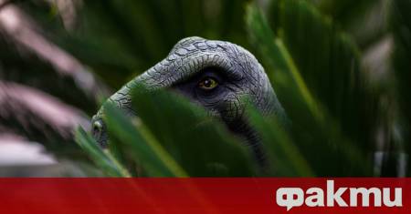 Учени описаха напълно нов вид тревопасен динозавър наречен Enigmacursor mollyborthwickae