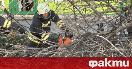 Бурният вятър събори дървета и нанесе щети в общините Банско
