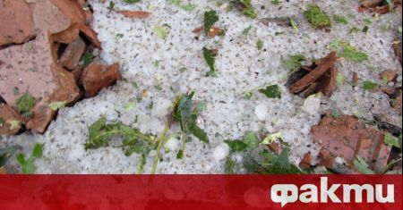 Преди обяд в сряда ще бъде предимно слънчево с временни