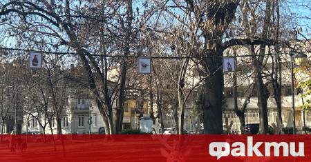 Бащата на загиналата Сияна – – съобщи в социалните мрежи