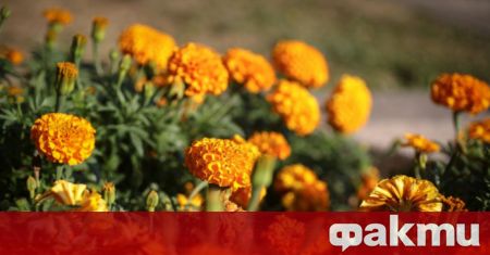 Днес валежите ще обхванат и Централна България а вятърът ще