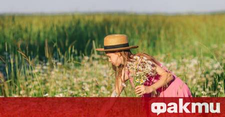 Утре Българската православна църква почита Рождение на св Йоан Кръстител