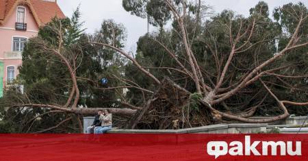 Най малко петима души са загинали след като ураганът Кристин