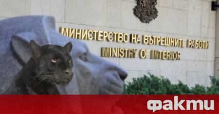 Трета седмица държавата не може да хване една полудива котка