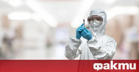 Изследователи в Китай са открили нов щам на свински грип