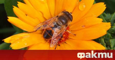 ФАКТИ публикува мнения с широк спектър от гледни точки за